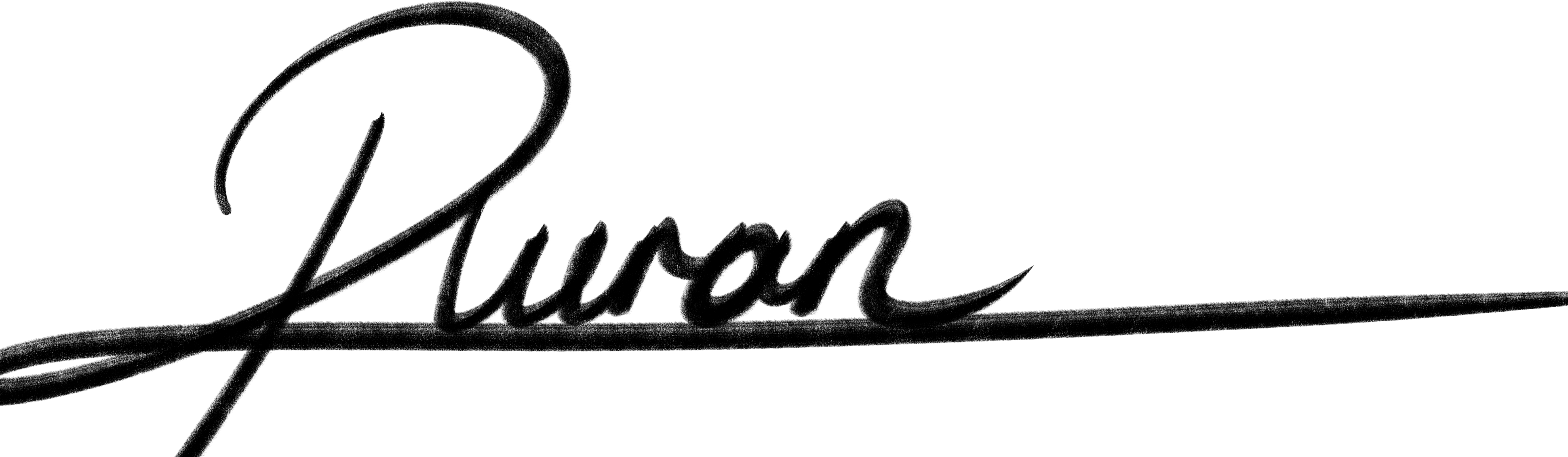 Rengin Turan signature